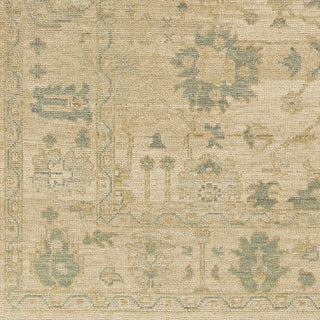 Surya Reign REG-2307 Area Rug Swatch