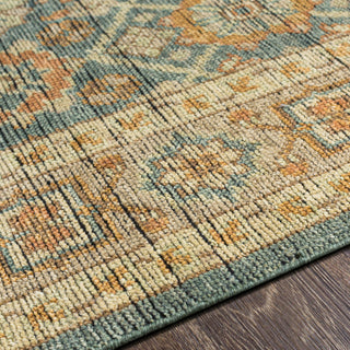 Surya Reign REG-2308 Area Rug Detail