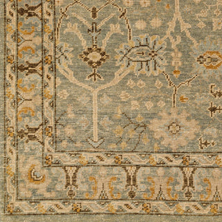 Surya Reign REG-2311 Area Rug Swatch
