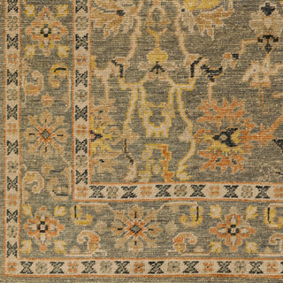 Surya Reign REG-2313 Area Rug Swatch