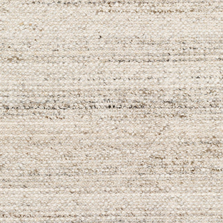 Surya Reika REK-2305 Area Rug Swatch