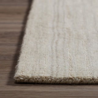 Dalyn Rafia RF100 Linen Area Rug 