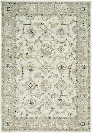 Livabliss Reflection RFL-2301 Ivory Area Rug main image