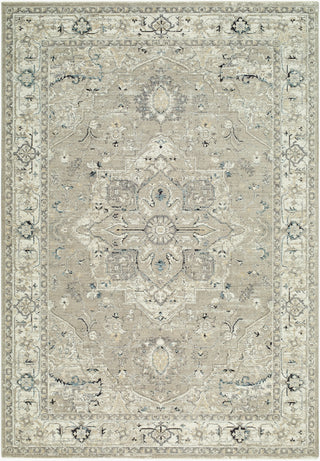 Livabliss Reflection RFL-2302 Beige Area Rug main image