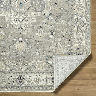 Livabliss Reflection RFL-2302 Beige Area Rug Pile