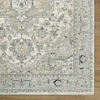 Livabliss Reflection RFL-2303 Ivory Area Rug 