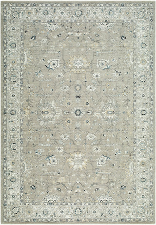 Livabliss Reflection RFL-2304 'stone Gray Area Rug main image
