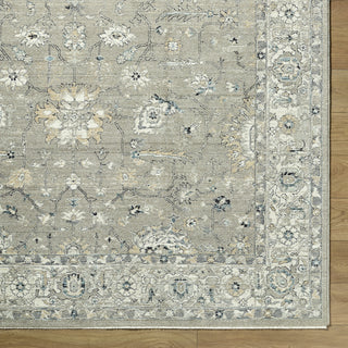 Livabliss Reflection RFL-2304 'stone Gray Area Rug 