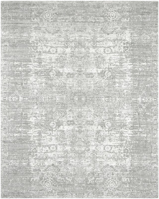Ancient Boundaries Shore SHO-837 Pearl Grey Area Rug main image