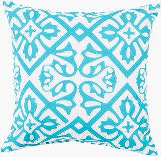 Livabliss Rain RG-066 Aqua Swatch Image