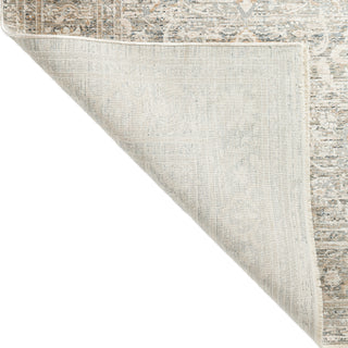 Dalyn Regal RG1 Putty Area Rug