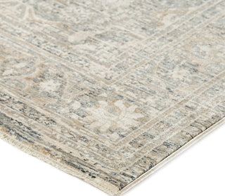 Dalyn Regal RG1 Putty Area Rug