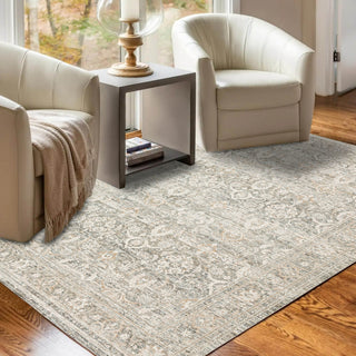 Dalyn Regal RG1 Putty Area Rug