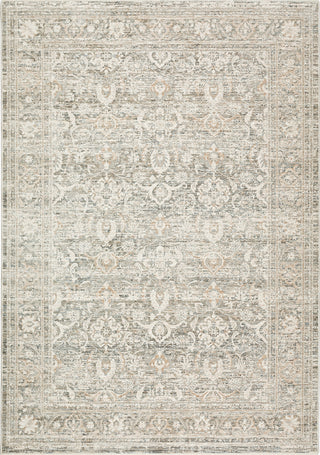 Dalyn Regal RG1 Putty Area Rug