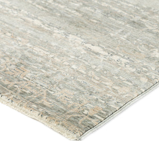 Dalyn Regal RG2 Mist Area Rug