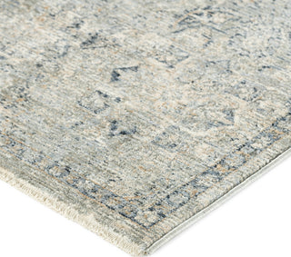 Dalyn Regal RG4 Sky Area Rug