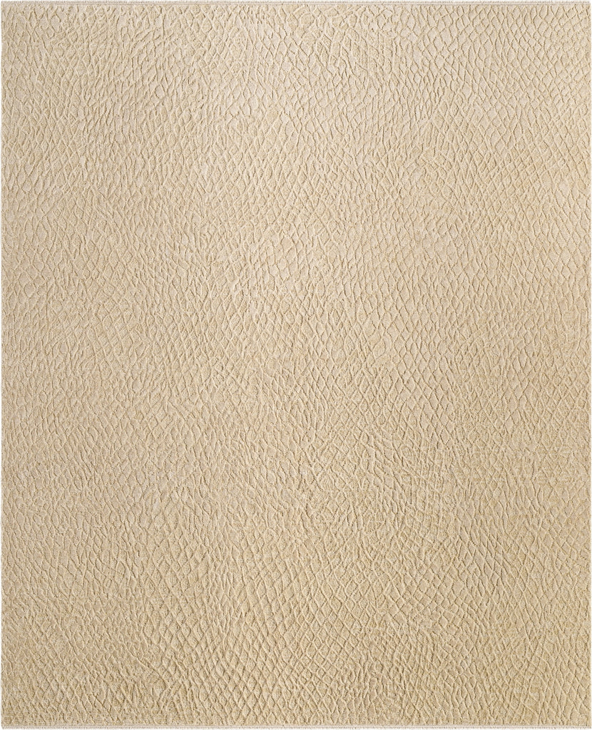 Surya Reyyan RHE-2300 Natural Area Rug