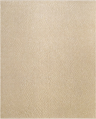 Surya Reyyan RHE-2300 Natural Area Rug