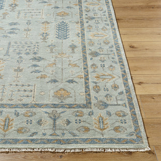 Surya Riviera RIV-2304 Silver Area Rug