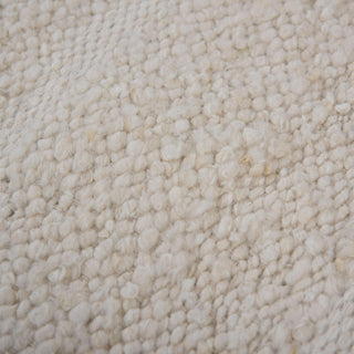 Rizzy Aspen ASP202 Ivory Area Rug Angle Image