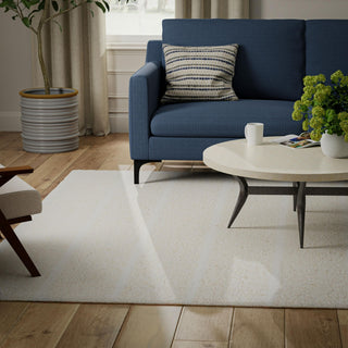 Rizzy Aspen ASP202 Ivory Area Rug Room Image Feature