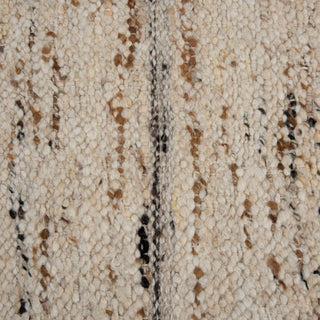 Rizzy Aspen ASP204 Ivory / Brown Area Rug Corner Image