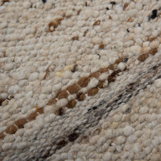 Rizzy Aspen ASP204 Ivory / Brown Area Rug Angle Image