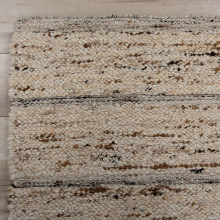 Rizzy Aspen ASP204 Ivory / Brown Area Rug Detail Image