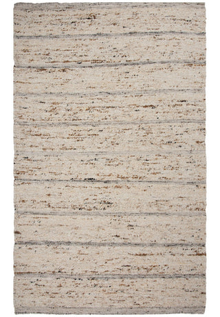 Rizzy Aspen ASP204 Ivory / Brown Area Rug Main Image