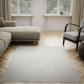 Rizzy Bixby BX04IV Ivory Area Rug Room Image Feature