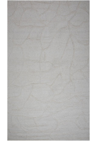 Rizzy Bixby BX06IV Ivory Area Rug main image