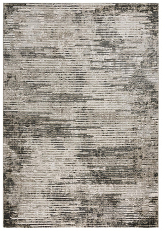 Rizzy Calabria CLA797 Gray Area Rug main image