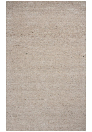 Rizzy Cosgrove CSG109 Beige Area Rug main image