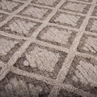 Rizzy Driftwood DRI688 Brown Area Rug Angle Image