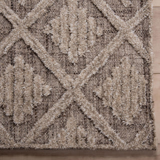 Rizzy Driftwood DRI688 Brown Area Rug Detail Image