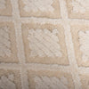 Rizzy Driftwood DRI689 Ivory Area Rug Corner Image