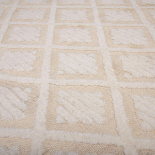 Rizzy Driftwood DRI689 Ivory Area Rug Angle Image