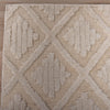 Rizzy Driftwood DRI689 Ivory Area Rug Detail Image