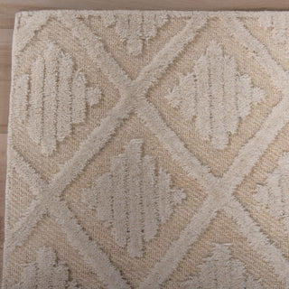 Rizzy Driftwood DRI689 Ivory Area Rug Detail Image