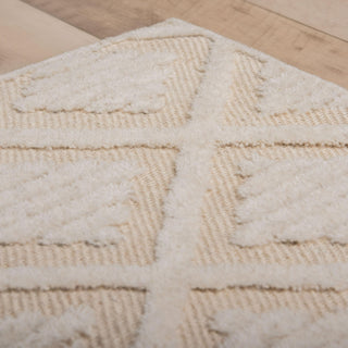 Rizzy Driftwood DRI689 Ivory Area Rug Room Image Feature