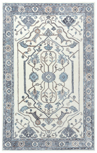 Rizzy Essence ESS102 Beige / Gray Area Rug main image