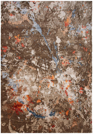 Rizzy Evolution EVO662 Brown Area Rug main image