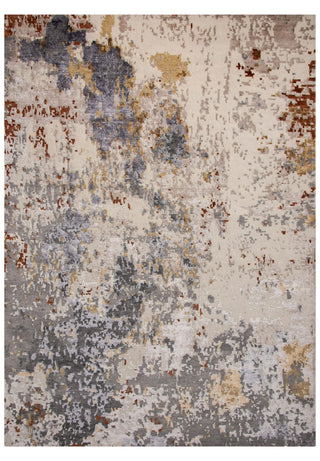 Rizzy Evolution EVO663 Gray Area Rug main image