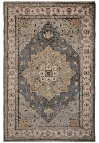Rizzy Hallmark HAL231 Gray Area Rug main image