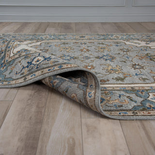 Rizzy Historia HIS856 Beige / Gray Area Rug main image