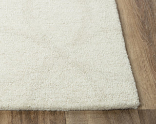 Rizzy Harmony HMY976 Ivory Area Rug Detail Image