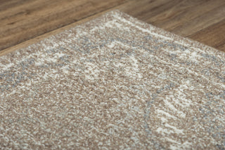 Rizzy Harmony HMY981 Brown Area Rug Angle Image
