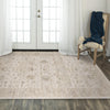 Rizzy Iconic ICO760 Natural Area Rug Room Image Feature