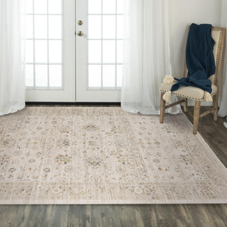 Rizzy Iconic ICO760 Natural Area Rug Room Image Feature