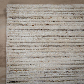 Rizzy Luxe LUX704 Beige Area Rug Detail Image